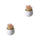 thumbnail image 1 of Simulación suculenta Advancent artificial Bonsai Flor falsa para sala de estar, 1 of 6