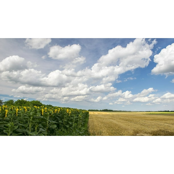 Aƒae A A C Gkaƒae A A C P Agriculture Region Clouds Inch By 30 Inch Laminated Poster With Bright Colors And Vivid Imagery Fits Perfectly In Many Attractive Frames Walmart Com Walmart Com