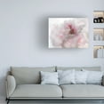 thumbnail image 3 of Gillian Hunt 'Hope in Pink I' Canvas Art, 3 of 3