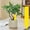 Jaune, variante sur TTJ Étiquettes pour Plantes Imperméables en Plastique, Étiquettes de Jardin, Marqueurs pour Petites Plantes, pour Pots, lings, Herbes et Organisation de Jardinage Intérieur Extérieur