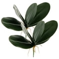 thumbnail image 4 of Miangastore 2 Pcs Feuilles de Simulation 11 x 3.5 x 0.4 Po pour Décoration Intérieure, 4 of 8