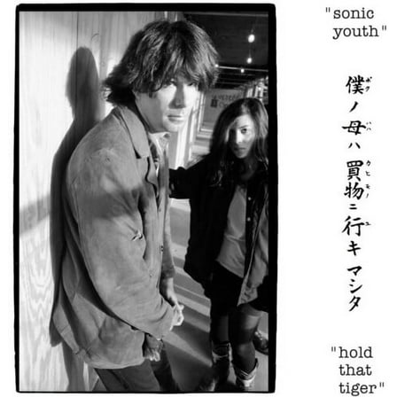 Sonic Youth - Hold That Tiger - Music & Performance - Vinyl
