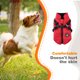 thumbnail image 5 of Greeniant Arnés de invierno para mascotas, chaqueta impermeable a prueba de viento, para correr, ropa Universal ligera, gancho trasero, decoración de Ropa para mascotas Rojo XXL Greeniant PT000587-24, 5 of 6