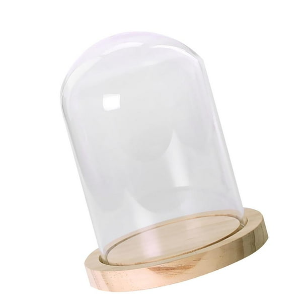 Home Decorative Clear Glass Cloche Bell Jar Display Case with Rustic