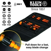Klein Tools 32584INSR 8-in-1 Insulated Precision Screwdriver Set with Case