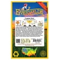 thumbnail image 2 of Everwilde Farms - 2000 Fleabane Daisy Native Wildflower Seeds - Gold Vault Seed Packet, 2 of 5