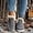Grey, variant on Women's Winter casual indoor boots - Warm Anti-Slip Flat Boots for Casual indoor Wear
