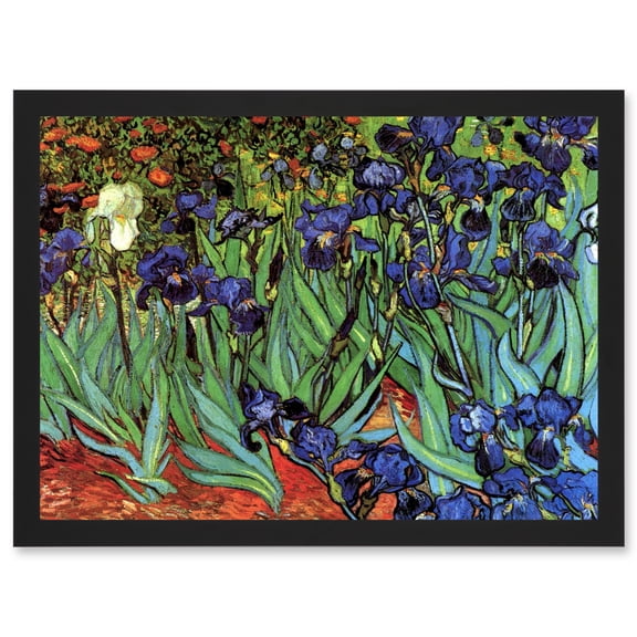 Vincent Van Gogh Irises Artwork Framed Wall Art Print A4