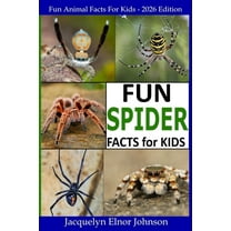 Fun Spider Facts For Kids, (Paperback)