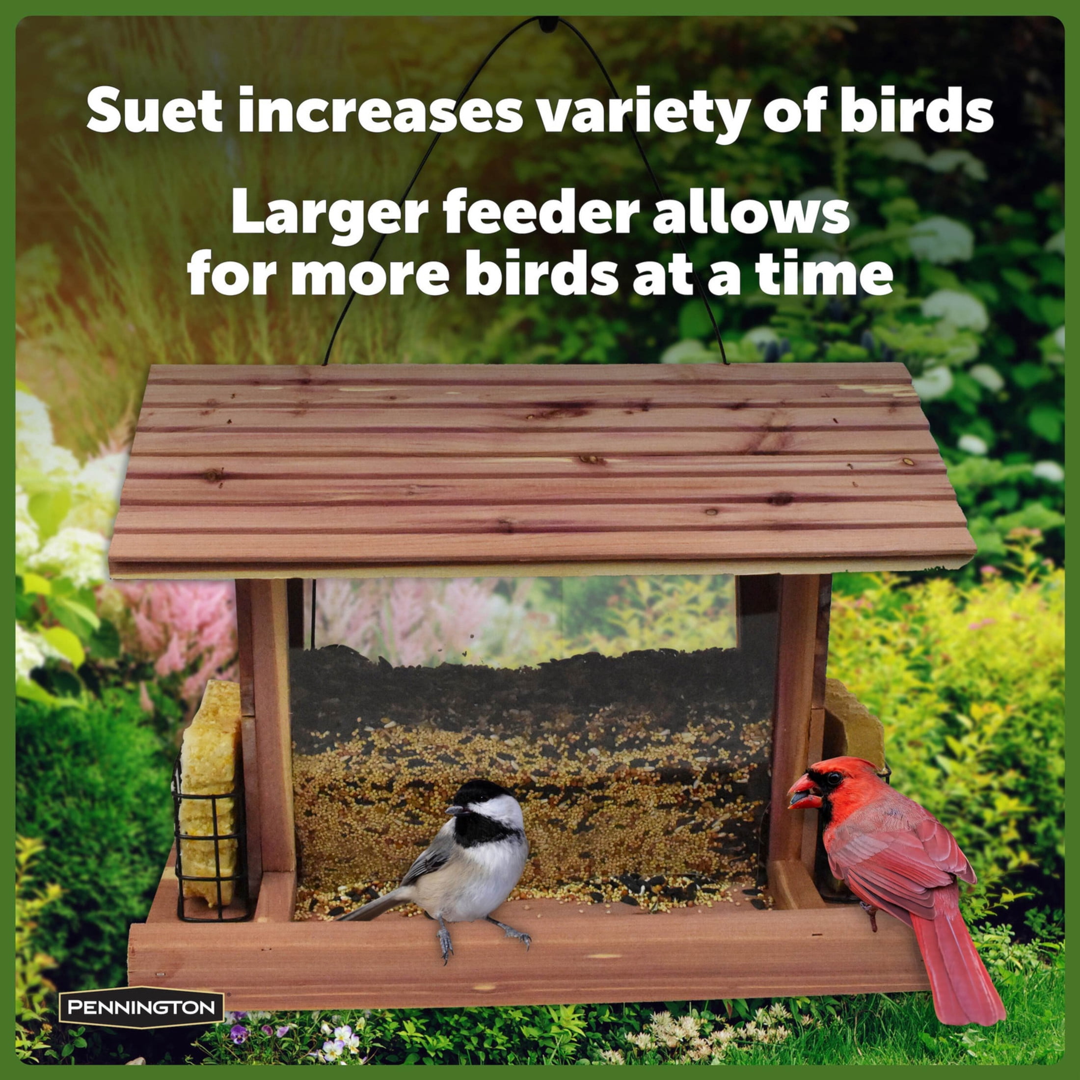 Pennington Cedar Grand Chalet 14 lb Capacity Bird Feeder / 2.5lb Bird Seed All In One Kit 1 Each