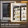 thumbnail image 7 of Fenice 24" Aluminum Surface-Mount/Reccessed Lighted Mirror Medicine Cabinet, 7 of 7