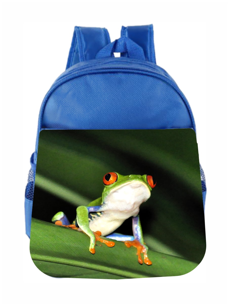 Preschool Backpack Animals Red Eyed Tree Frog Kids Backpack Toddler ...