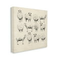 thumbnail image 4 of Stupell Industries Vintage Sheep Drawings Animals & Insects Painting Gallery Wrapped Canvas Art Print Wall Art, 17 x 17, 4 of 8
