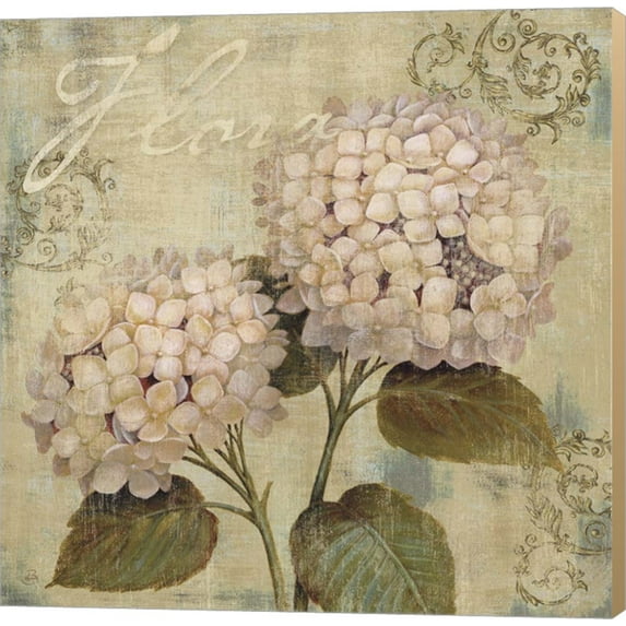 Vintage Petals II by Daphne Brissonnet, Canvas Wall Art