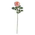 thumbnail image 1 of Tige de Rose Grande 31 Pouces (Ensemble de 12), 1 of 1