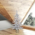 thumbnail image 3 of Vickerman 36" Flocked Angel Pine Artificial Christmas Tree, Clear Dura-lit Lights, 3 of 3