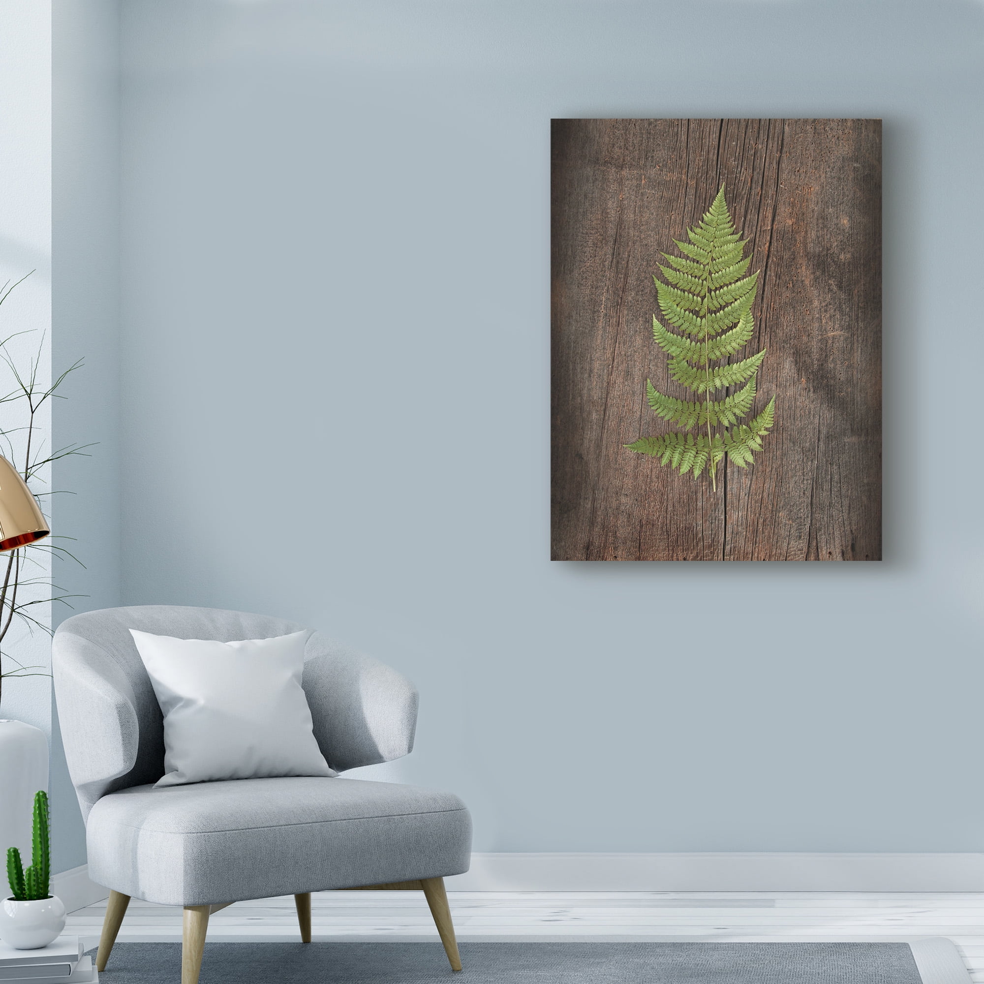 Trademark Fine Art 'Woodland Fern I' Canvas Art by Sue Schlabach