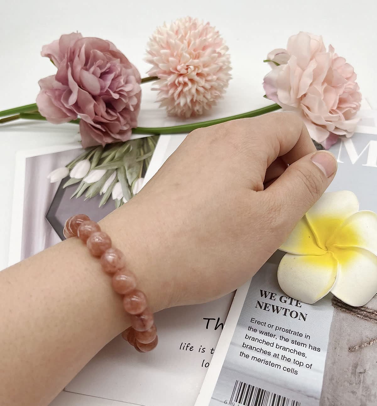 Nelbons 12-Piece 8mm Semi-Precious Stone Bead Bracelet Set photo 7