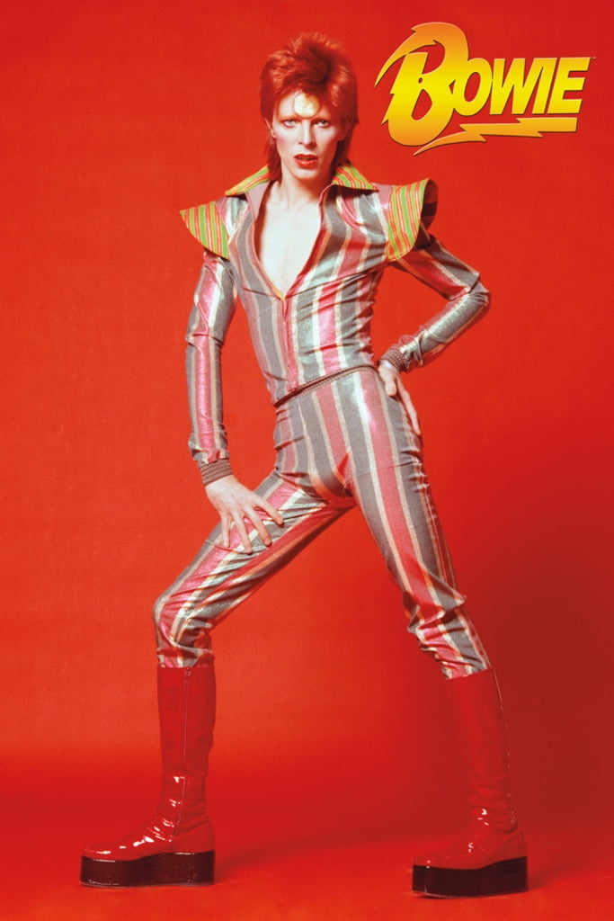 David Bowie Glam Rock 1973 Aladdin Sane Tour Music Poster 24x36 inch David Bowie Glam Rock 1973 Aladdin Sane Tour Music Poster 24x36 inch