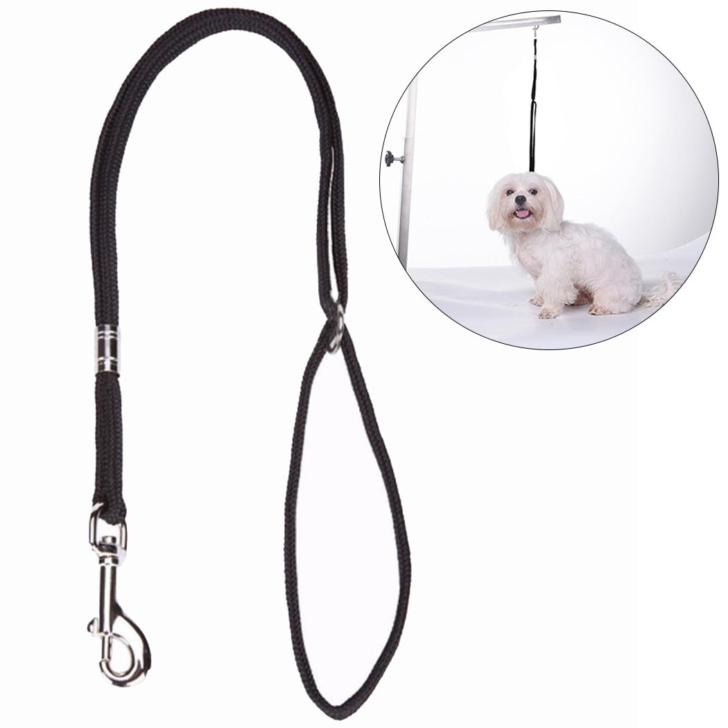 Dog grooming leash hotsell