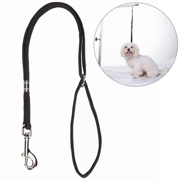 Dog grooming cheap loop