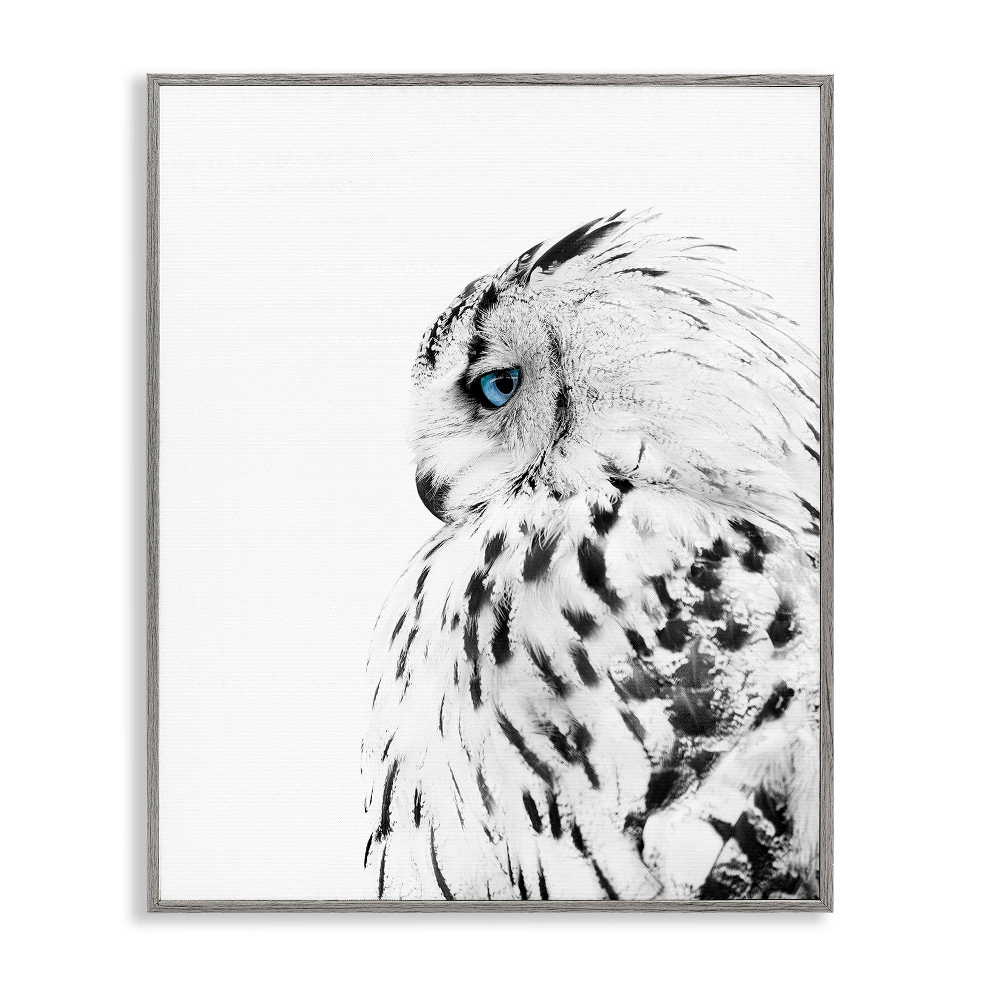 Stupell Industries Snow Owl White Feathers Peering Blue Eyes,11 x 14,Designed by Design Fabrikken
