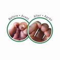 thumbnail image 4 of Working Hands, 4 of 4