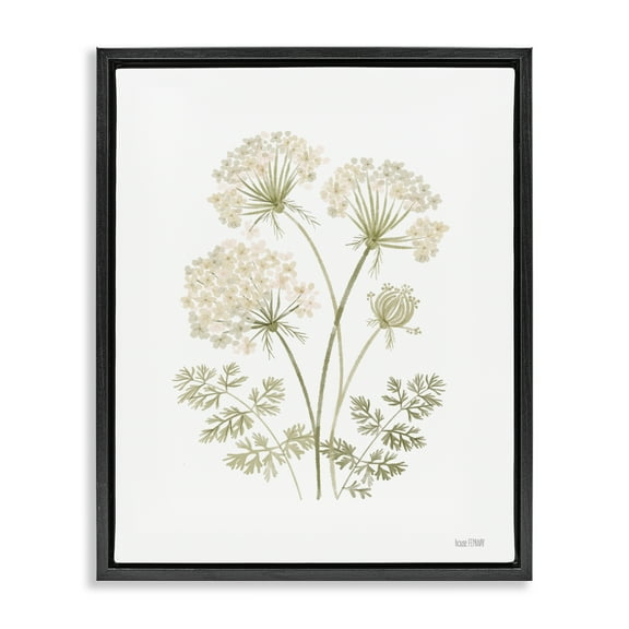Stupell Industries Muted Cottage Dandelions Plants & Flowers Painting Black Floater Framed Canvas Art Print Wall Art, 17 x 21