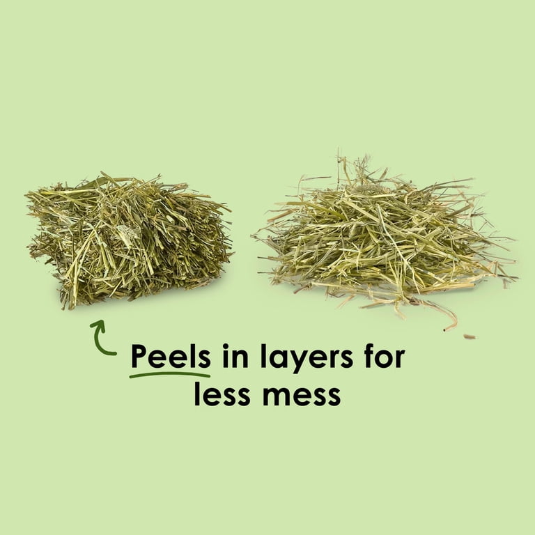 Kaytee Wafer Cut Timothy Hay, Easy Feeding, 60oz photo 5