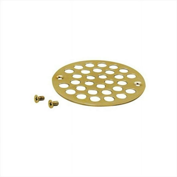 Westbrass D3192-01 4 in. OD Plastic Oddities Strainer Cover