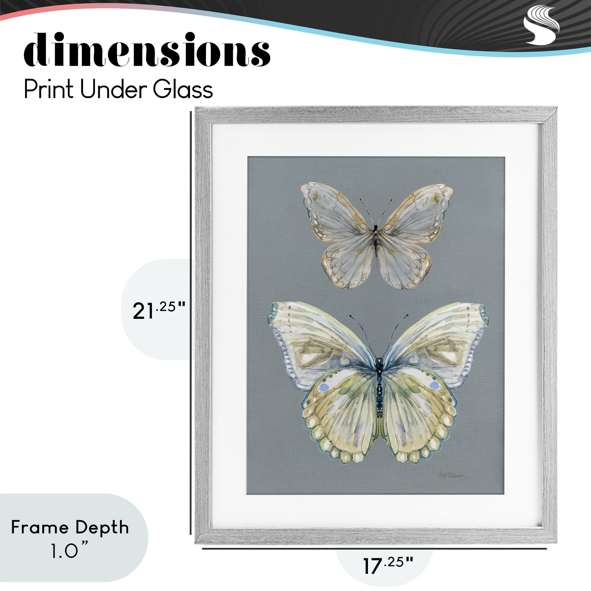 Stupell Industries Butterfly Pair Study Gray Framed Print Under Glass, design by Carol Robinson
