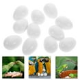 thumbnail image 2 of SHISUYAN 30pcs White Solid Plastic Pigeon Egg Dummies Bird egg for Pigeon Egg Control Artificial Egg Replacements for Pigeon Nesting Supplies and Training, 2 of 8