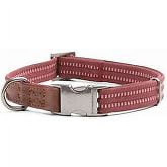 UPC: 0800443434581 | Reddy Burgundy Webbed Dog Collar  Small – 9-14 in