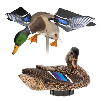 Avian X AXP Honkers Fusion Pack Lesser Canada Goose Decoys, 3 Pack
