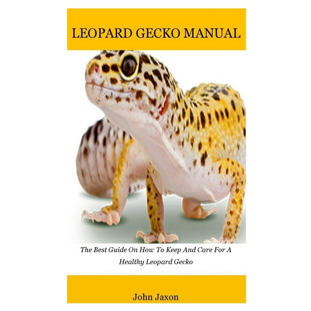 Leopard gecko : The Best Guide On How To Keep And Care For A Healthy