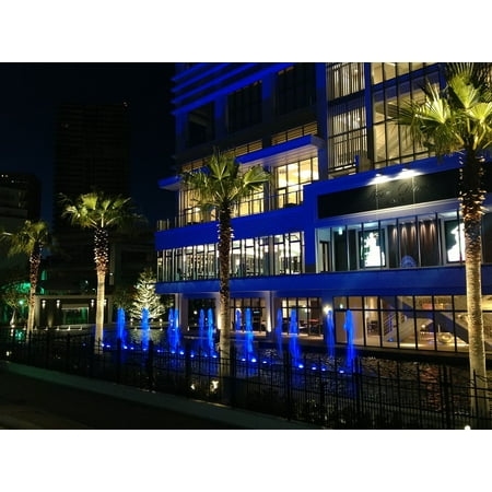 Canvas Print Hotel Night View Tropical Blue Palm Tree Osaka Stretched Canvas 32 x