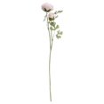 thumbnail image 1 of Hill Interiors - Flor Artificial Ranuculus (Rosa Pastel), 1 of 2