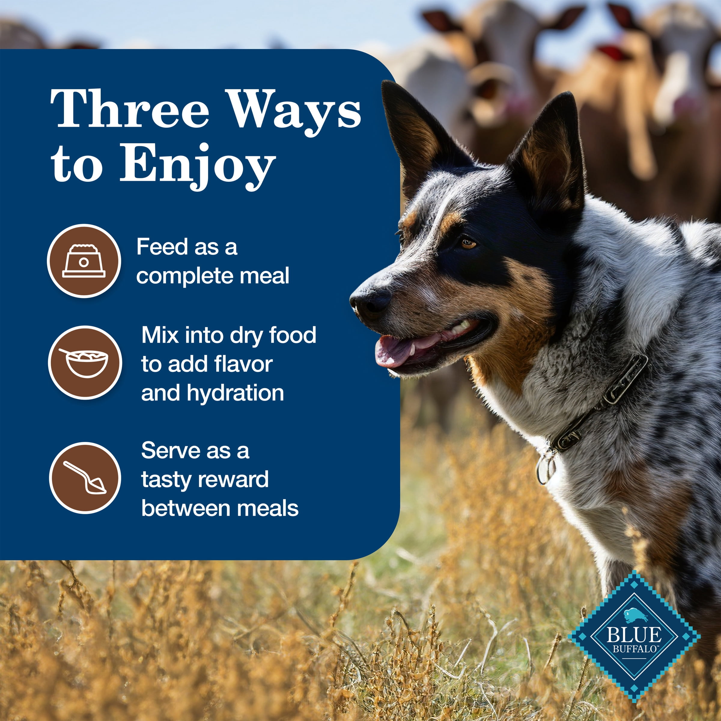 (12 pack) Blue Buffalo Turkey Meatloaf Dinner with Garden Vegetables Wet Dog Food
