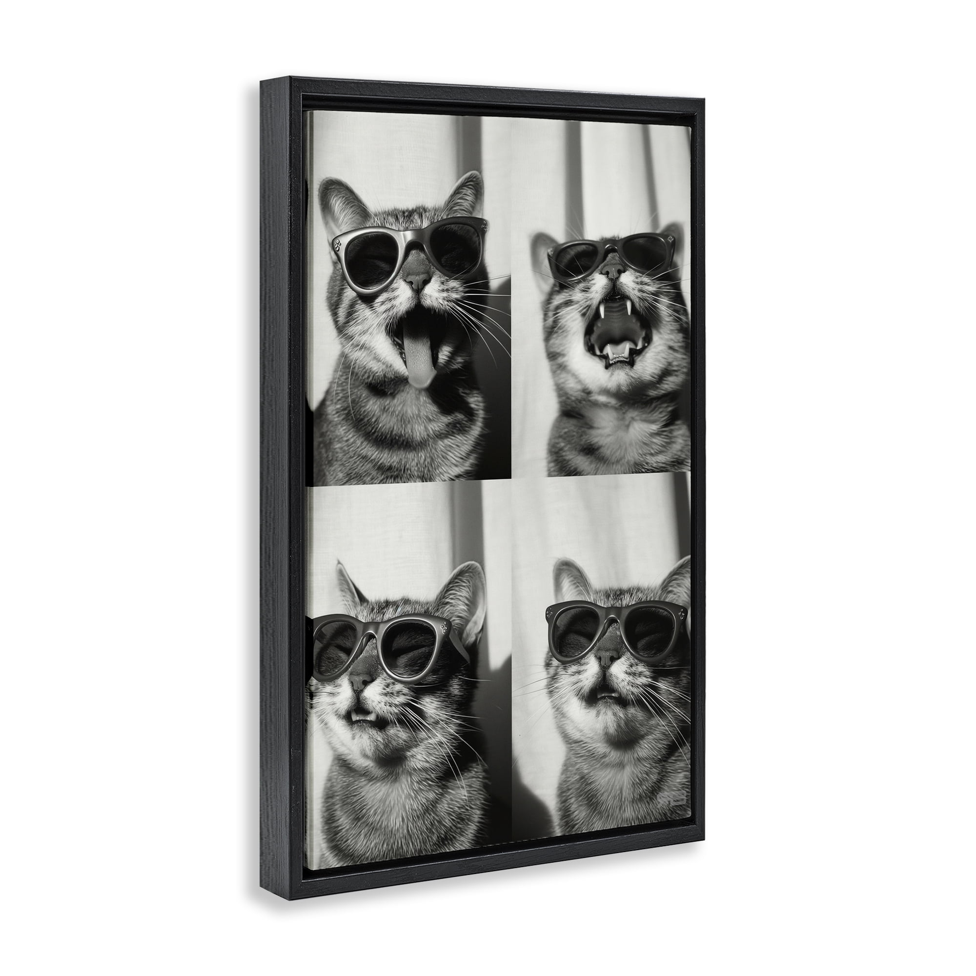 Stupell Industries Photobooth Style Cat Novelty Painting Black Floater Framed Art Print Wall Art, 21 x 31