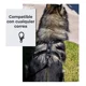 thumbnail image 5 of Pechera Para Perro Piel Autentica Talla Mediana 4 Ajustable, 5 of 6