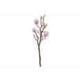 thumbnail image 1 of Magnolia Large Spray Pink, 1 of 3