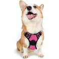 thumbnail image 1 of rabbitgoo Dog Harness  No-Pull Pet Harness with 2 Leash Clips  Adjustable Soft Padded Dog Vest  Reflective No-Choke Pet Oxford Vest with Easy Control Handle for Small Dogs  Beige  XS, 1 of 9