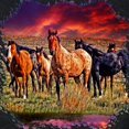 thumbnail image 4 of CafePress - Sunset Horses Zip Hoodie (Dark) - Zip Hoodie, Classic Hooded Sweatshirt with Metal Zipper, 4 of 5