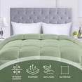 thumbnail image 3 of Ropa de cama Edreforter Utopia, tamaño doble, para todas las estaciones, color verde salvia, 3 of 7