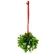 thumbnail image 3 of Bola de simulación de plantas, bola de muérdago Artificial, adorno de plantas de Ginkgo (cinta de Color aleatorio), 1 ud., 3 of 6