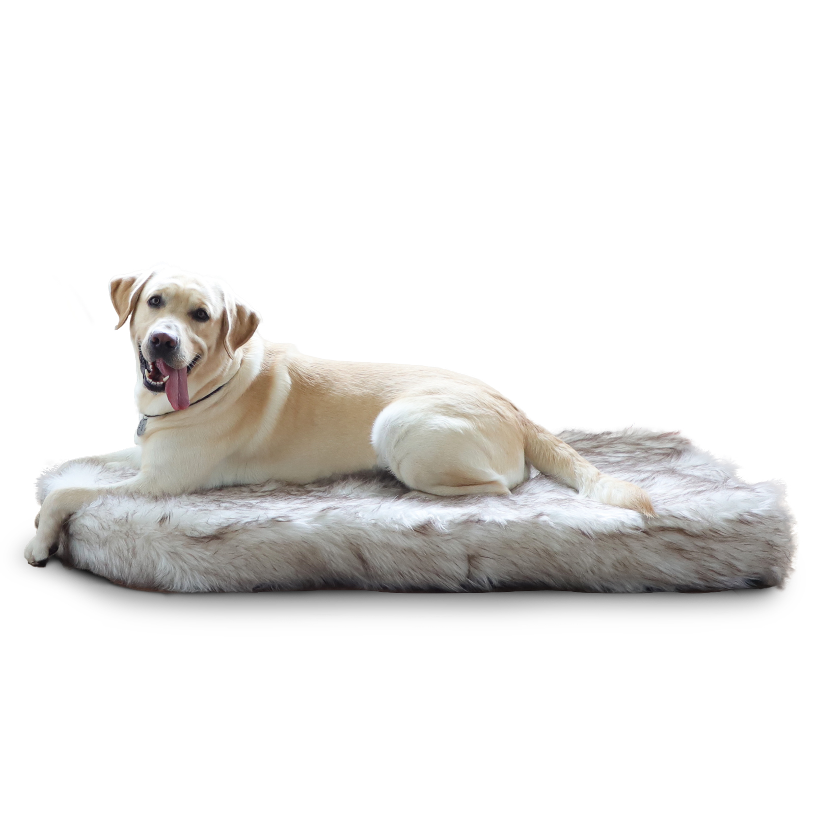 Laifug Large Dog Bed - Comfy Orthopedic Memory Foam, Waterproof Liner, and Washable Cover (White) - Ideal for Comfort and Easy Cleaning