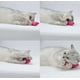 thumbnail image 3 of juguetes de hierba gatera resistentes a las mordeduras para gatos, juguete masticable para la dentición de gatos con ratones de dibujos animados rellenos de hierba gatera (multicolor), 3 of 5