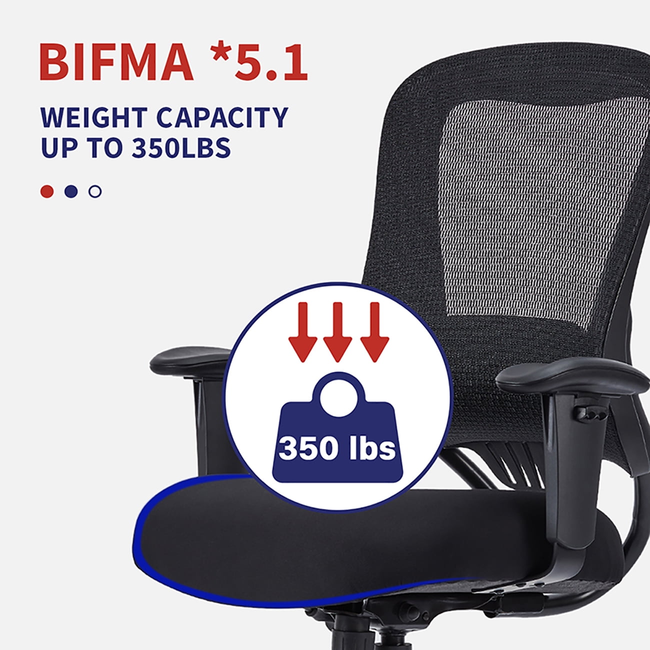 Furniture of America Lulo 24 in Executive Chair with Adjustable Back & Lumbar Support, 350 lb. Capacity, Black