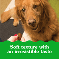 thumbnail image 2 of Greenies PILL POCKETS Dog Treats Capsule Size Adult Natural Soft Chicken Flavour, 2 of 12