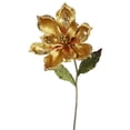 thumbnail image 1 of Tige de Fleur de Magnolia Or&44; 22 & 9 Po., 1 of 1